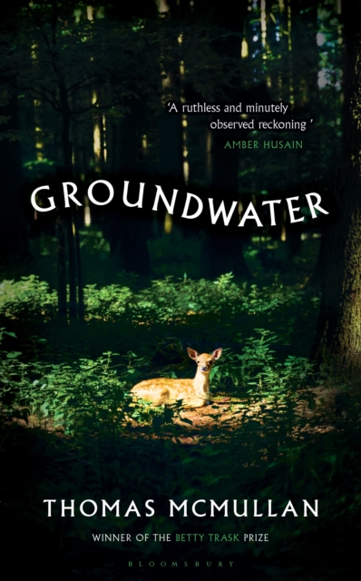 Image for Groundwater