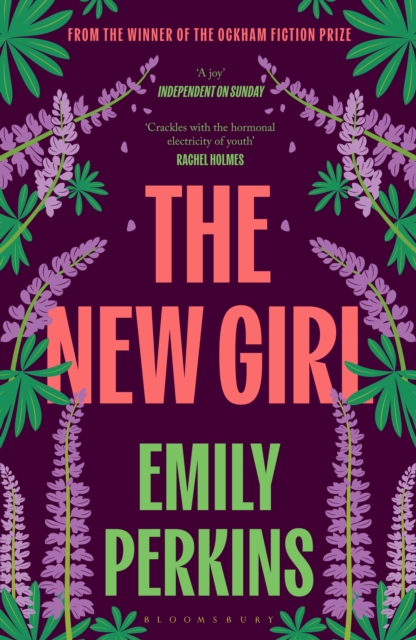 Image for The New Girl