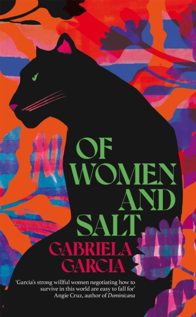 Image for Of Women and Salt