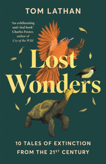 Image for Lost Wonders : 10 Tales of Extinction from the 21st Century