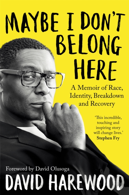 Image for Maybe I Don't Belong Here : A Memoir of Race, Identity, Breakdown and Recovery