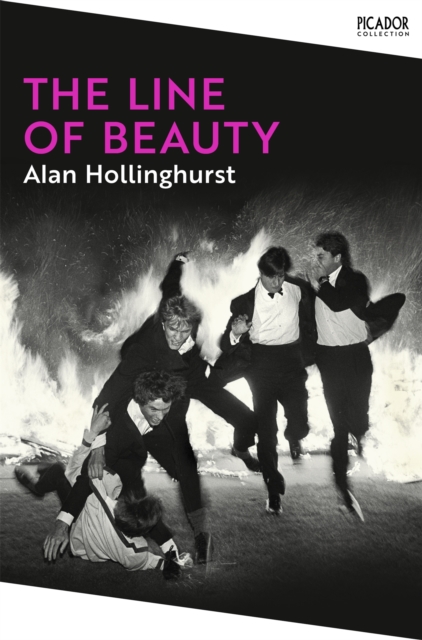 Image for The Line of Beauty