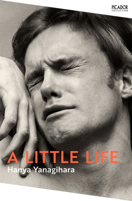 Cover for: A Little Life