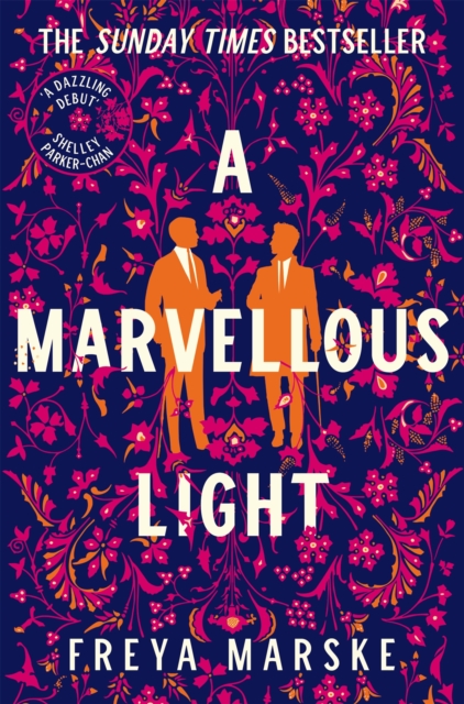 Cover for: A Marvellous Light