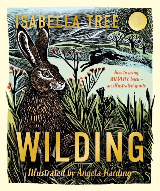 Image for Wilding: How to Bring Wildlife Back - The NEW Illustrated Guide