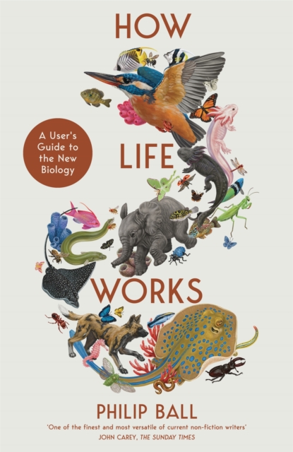 Cover for: How Life Works : A User’s Guide to the New Biology