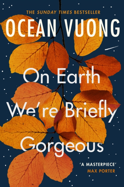 Cover for: On Earth We're Briefly Gorgeous