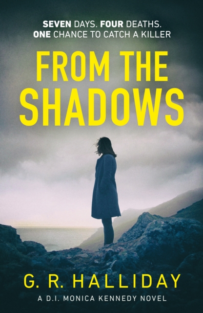 Image for From the Shadows : Introducing your new favourite Scottish detective series