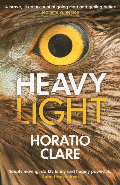 Cover for: Heavy Light : A Journey Through Madness, Mania and Healing