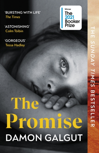 Image for The Promise