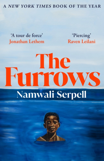 Cover for: The Furrows : From the Prize-winning author of The Old Drift