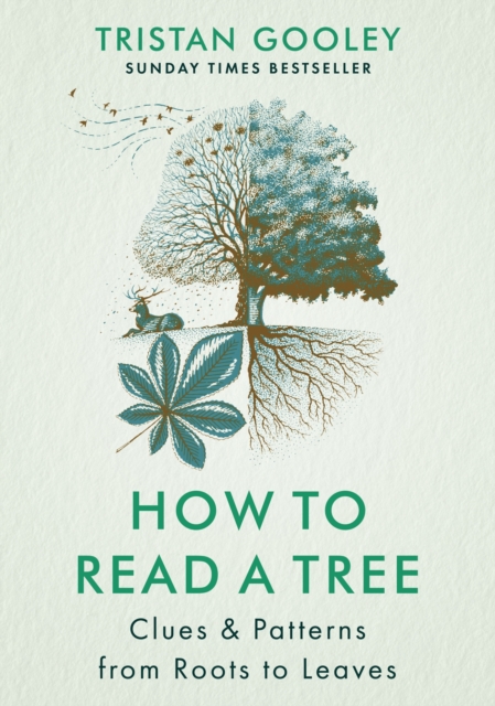 Image for How to Read a Tree : Clues & Patterns from Roots to Leaves