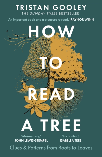 Image for How to Read a Tree : The Sunday Times Bestseller