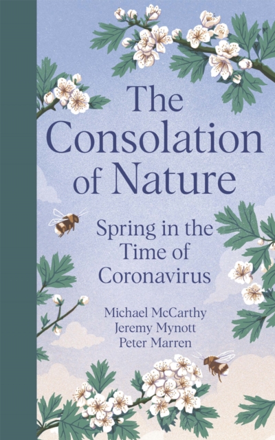 Image for The Consolation of Nature : Spring in the Time of Coronavirus