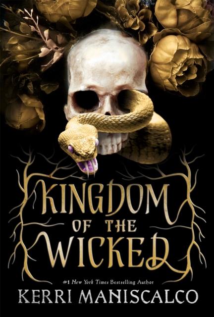 Image for Kingdom of the Wicked