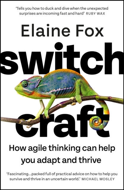 Image for Switchcraft : How Agile Thinking Can Help You Adapt and Thrive