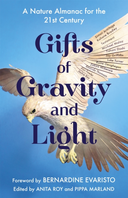 Image for Gifts of Gravity and Light