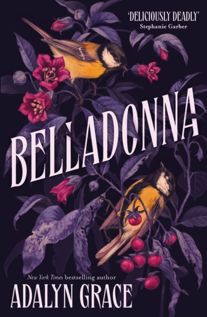 Image for Belladonna : bestselling gothic fantasy romance