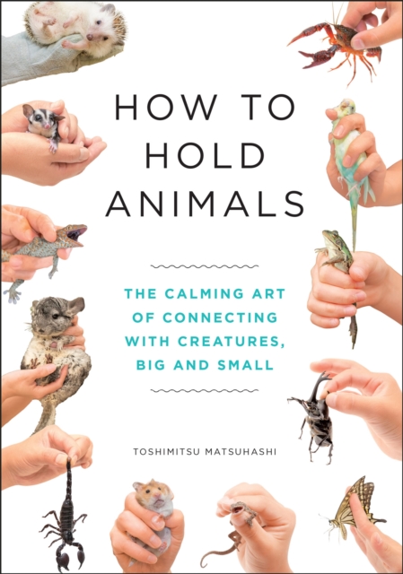 Image for How to Hold Animals