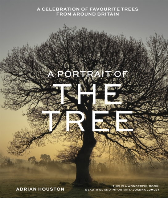 Cover for: A Portrait of the Tree : A celebration of favourite trees from around Britain