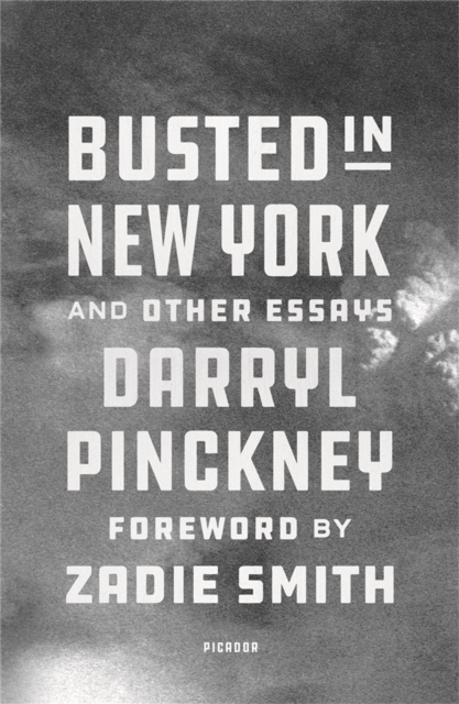 Image for Busted in New York & Other Essays : with an introduction by Zadie Smith