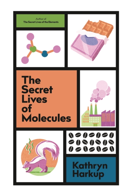 Image for The Secret Lives of Molecules