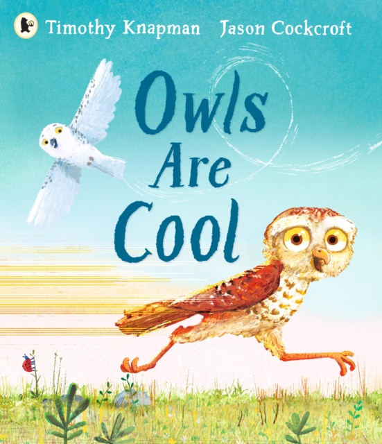 Image for Owls Are Cool