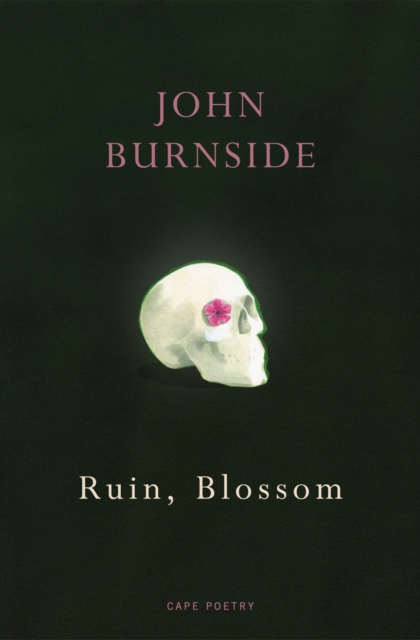 Image for Ruin, Blossom