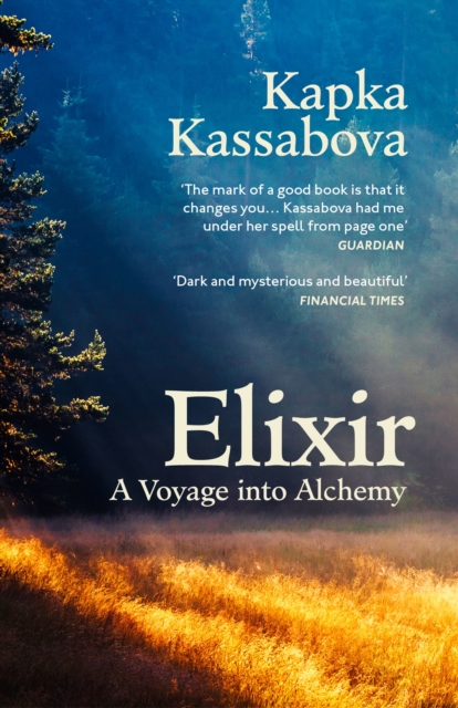 Cover for: Elixir : A Voyage into Alchemy