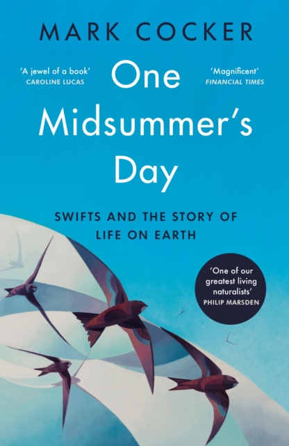 Image for One Midsummer's Day : Swifts and the Story of Life on Earth