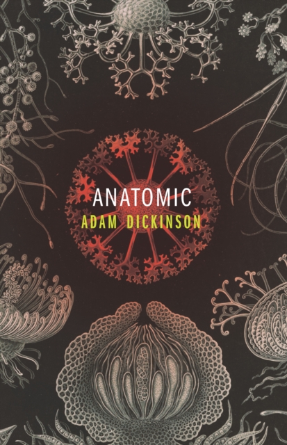 Cover for: Anatomic