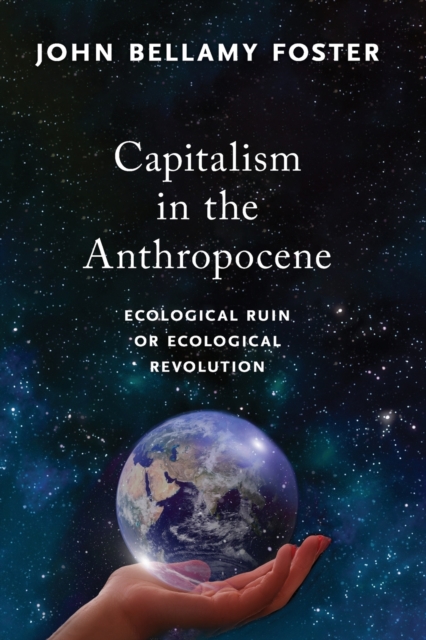 Image for Capitalism in the Anthropocene : Ecological Ruin or Ecological Revolution