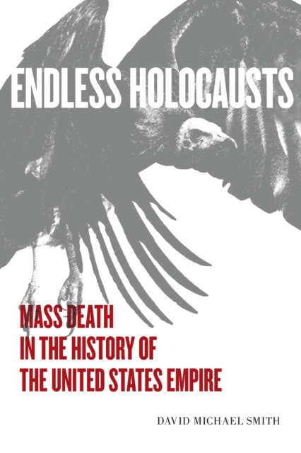 Image for Endless Holocausts : Mass Death in the History of the United States Empire