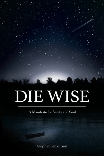 Image for Die Wise : A Manifesto for Sanity and Soul