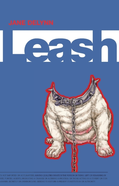 Image for Leash