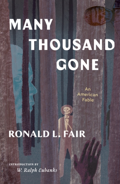 Image for Many Thousand Gone: An American Fable