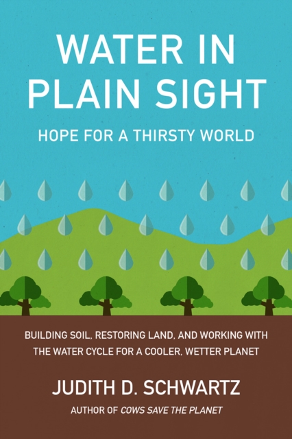 Cover for: Water in Plain Sight : Hope for a Thirsty World