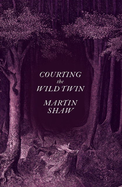 Image for Courting the Wild Twin
