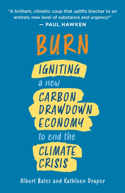 Image for Burn : Igniting a New Carbon Drawdown Economy to End the Climate Crisis