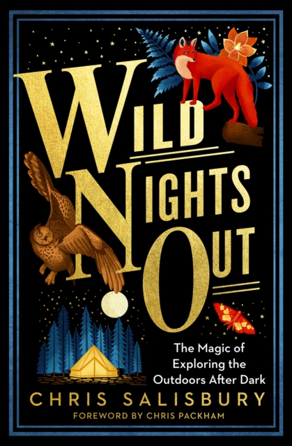 Image for Wild Nights Out : The Magic of Exploring the Outdoors After Dark