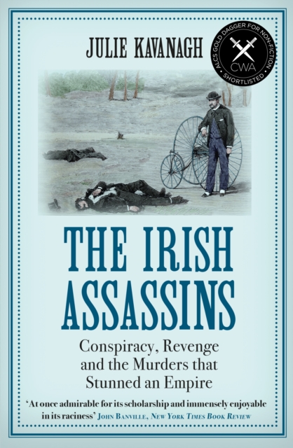 Image for The Irish Assassins : Conspiracy, Revenge and the Murders that Stunned an Empire