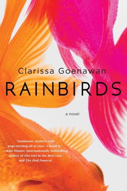 Cover for: Rainbirds