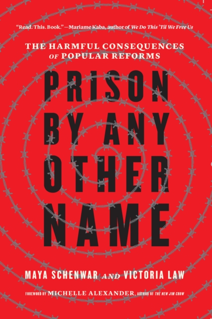 Image for Prison by Any Other Name : The Harmful Consequences of Popular Reforms