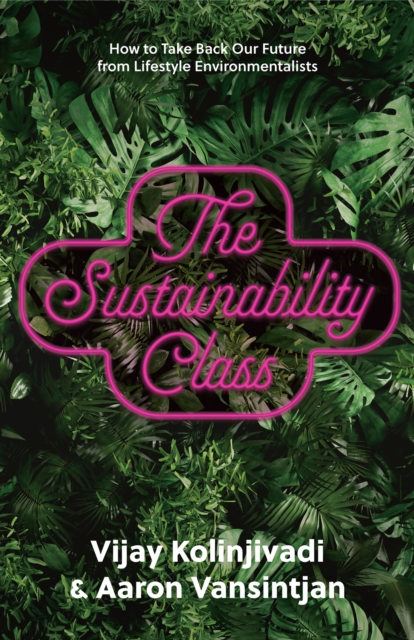 Image for The Sustainability Class : How to Take Back Our Future from Lifestyle Environmentalists