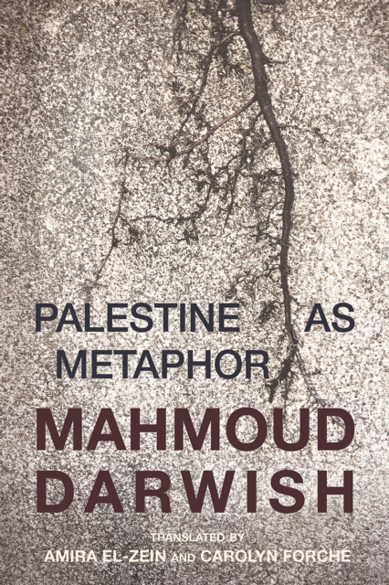 Cover for: Palestine As Metaphor