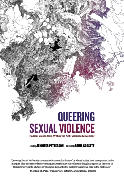 Cover for: Queering Sexual Violence - Radical Voices from Within the Anti-Violence Movement