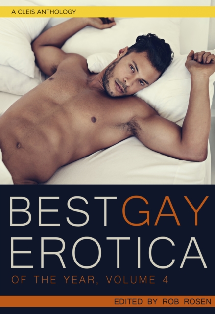 Image for The Best Gay Erotica of the Year, Volume 4 : A Cleis Anthology