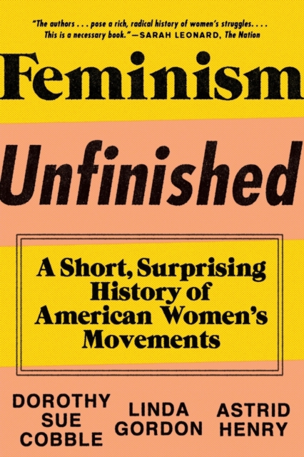 Image for Feminism Unfinished : A Short, Surprising History of American Women's Movements