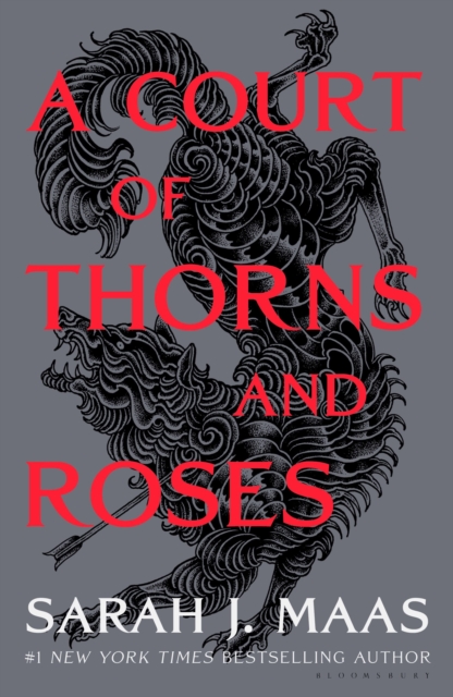Image for A Court of Thorns and Roses