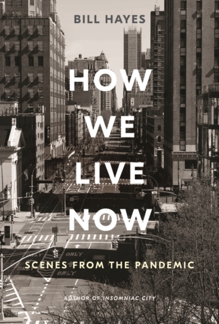 Image for How We Live Now : Scenes from the Pandemic